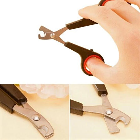 OLLEVRA Evcil Hayvan Tırnak Makası Ve Törpü Seti Manikür Pedikür Pati Bakım Aleti Kaymaz Sap