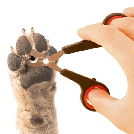 OLLEVRA Evcil Hayvan Tırnak Makası Ve Törpü Seti Manikür Pedikür Pati Bakım Aleti Kaymaz Sap