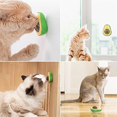OLLEVRA Avokado Model Yapışkanlı Kedi Oyuncağı Yenilebilir Kedi Nanesi Otu