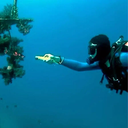 OLLEVRA Süper Parlak LED Su Altı Dalış Feneri – Taşınabilir Su Geçirmez ve Darbeye Dayanıklı El Feneri