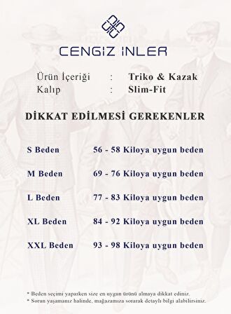 Cengiz İnler Bisiklet Yaka Desenli Yünlü Erkek Triko Kazak