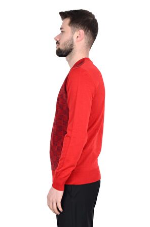 Cengiz İnler Bisiklet Yaka Kare Desen Yünlü Erkek Triko Kazak