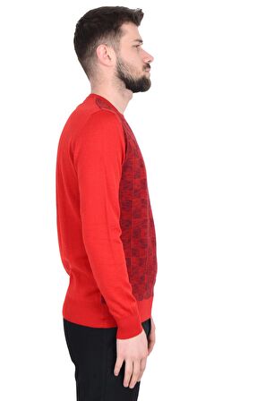 Cengiz İnler Bisiklet Yaka Kare Desen Yünlü Erkek Triko Kazak