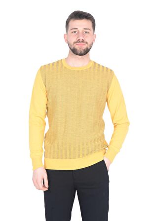 Cengiz İnler Bisiklet Yaka Çizgi Desen Yünlü Erkek Triko Kazak