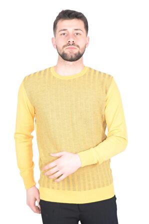 Cengiz İnler Bisiklet Yaka Çizgi Desen Yünlü Erkek Triko Kazak