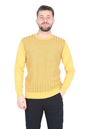 Cengiz İnler Bisiklet Yaka Çizgi Desen Yünlü Erkek Triko Kazak