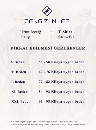 Cengiz İnler Çizgili Polo Yaka Düğmeli Merserize Erkek Triko T-shirt