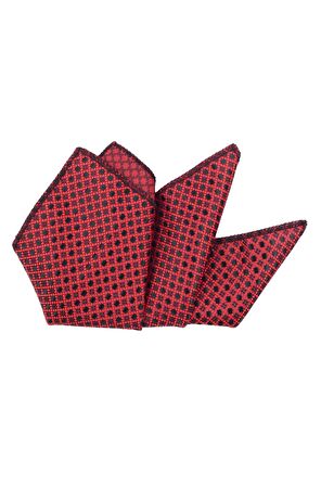 Cengiz İnler Pöti Kareli Desenli Mendilli Mikrofiber Erkek Kravat