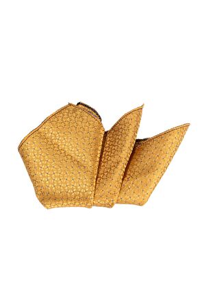Cengiz İnler Kendinden Desenli Mendilli Mikrofiber Erkek Kravat