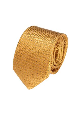 Cengiz İnler Kendinden Desenli Mendilli Mikrofiber Erkek Kravat