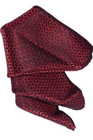 Cengiz İnler Kendinden Desenli Mendilli Mikrofiber Erkek Kravat