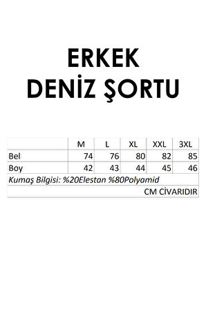 Erkek Deniz Havuz Şortu Desenli Raul S266 Mavi | L