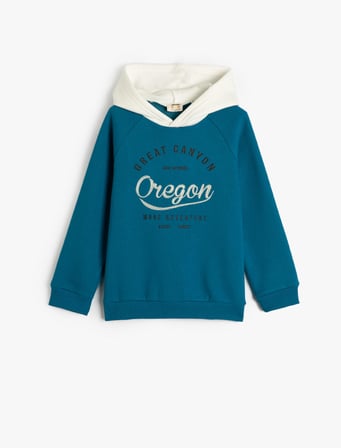 Kapşonlu Sweatshirt Uzun Kollu İ̇Şleme Detaylı Şardonlu