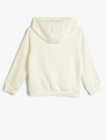 Basic Fermuarlı Sweatshirt Kapşonlu Uzun Kollu Cepli