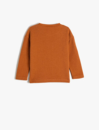 Sweatshirt Dinozor Baskılı Bisiklet Yaka Uzun Kollu Dokulu Pamuklu