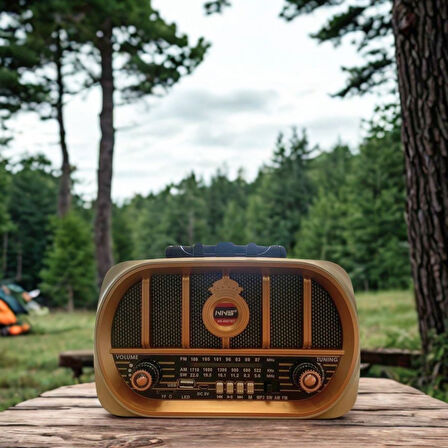 BUFFER® Orta Boy Retro, Nostaljik, Ahşap Tasarım Bluetooth Hoparlörlü, Şarjlı, Taşınabilir Oval Ön Y
