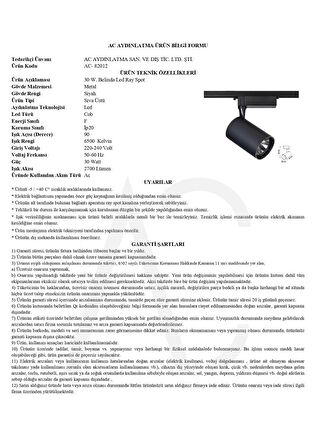30W Siyah Ray Spot Belinda Beyaz Işık