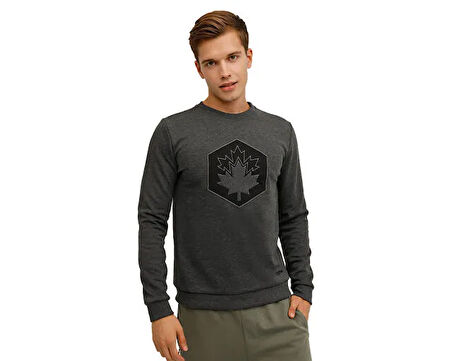 Lumberjack 3W Ml Aron 16Sd4001 3Pr Erkek Günlük Sweatshirts 101441456 Gri