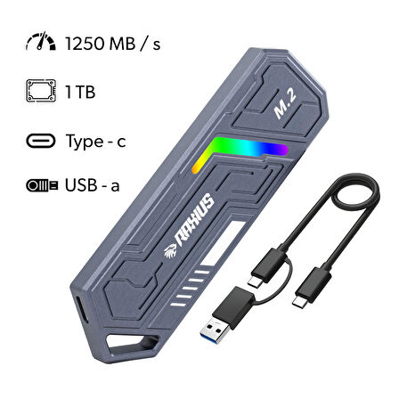 RaXius DK03 USB-A/Type-C Kablolu RGB 1TB 22x80 M.2 NVMe Taşınabilir Harici SSD