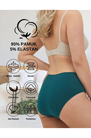 ALYA UNDERWEAR Kadın Pamuklu Renkli Bato / Hipster Slip Külot- Bordo, Lacivert, Siyah, Yeşil, Indigo 5'li Paket