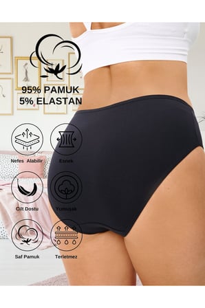 ALYA UNDERWEAR Kadın Külot Basic Slip Renkli Pamuklu Iç Çamaşırı 10'lu Paket