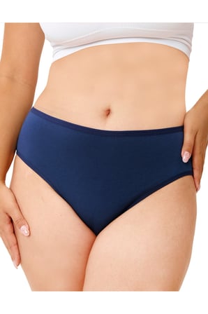 ALYA UNDERWEAR Kadın Külot Basic Slip Renkli Pamuklu Iç Çamaşırı 10'lu Paket