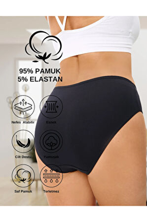 ALYA UNDERWEAR Kadın Pamuklu Külot Basic Slip Renkli 10'lu Paket Yüksek Bel Iç Çamaşırı ( Multicolor-x35)