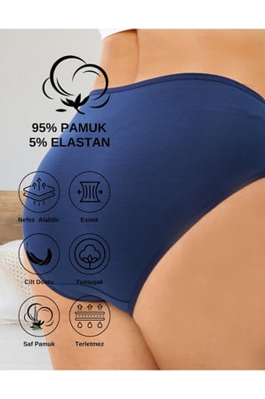 ALYA UNDERWEAR Kadın Külot Basic Slip Renkli Pamuklu Iç Çamaşırı 10'lu Paket