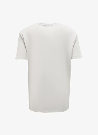 Fabrika Taş Erkek Bisiklet Yaka Relaxed T-Shirt F4SM-TST 0426