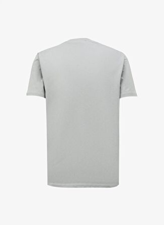 Gri Erkek Bisiklet Yaka Relaxed Baskılı T-Shirt D4SM-TST3274