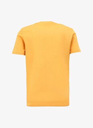 Hardal Erkek Bisiklet Yaka T-Shirt D4SM-TST3290