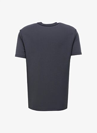 Discovery Expedition Antrasit Erkek Bisiklet Yaka Loose Fit T-Shirt D4SM-TST3277