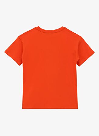 Baskılı Turuncu Erkek T-Shirt D4SB-TST3047