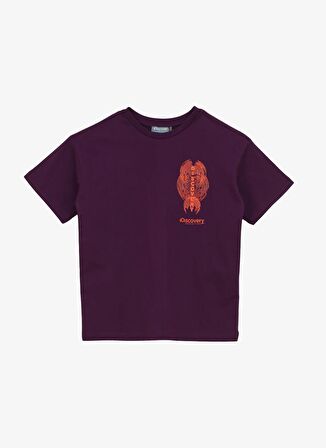 Baskılı Mor Erkek T-Shirt D4SB-TST3033