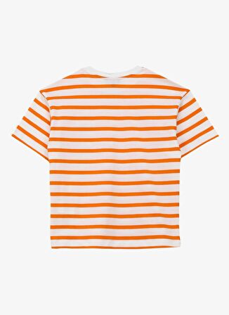 Çizgili Turuncu Erkek T-Shirt D4SB-TST3037