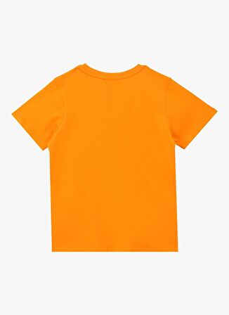 Baskılı Somon Erkek T-Shirt D4SB-TST3039