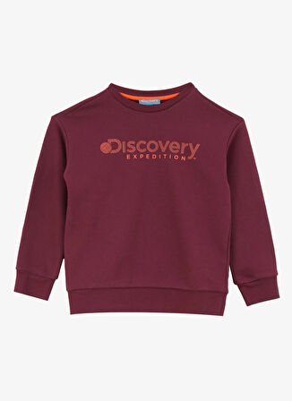 Discovery Expedition Baskılı Erkek Çocuk Mürdüm Sweatshırt D4WB-SWT3138