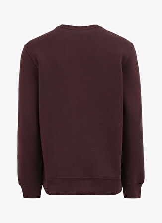 Kahve Erkek Bisiklet Relaxed Fit Nakışlı Sweatshirt D4WM-SWT3276