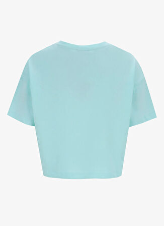 Discovery Expedition D5SL-TST3643 Mint Bisiklet Yaka Crop Baskılı Kadın T-Shirt