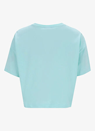Discovery Expedition D5SL-TST3642 Mint Bisiklet Yaka Crop Baskılı Kadın T-Shirt