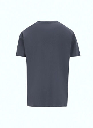 Discovery Expedition D5SM-TST3706 Antrasit Bisiklet Yaka Relaxed Baskılı Erkek T-Shirt