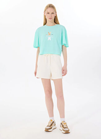 Discovery Expedition D5SL-TST3508 Mint Bisiklet Yaka Relaxed Baskılı Kadın T-Shirt