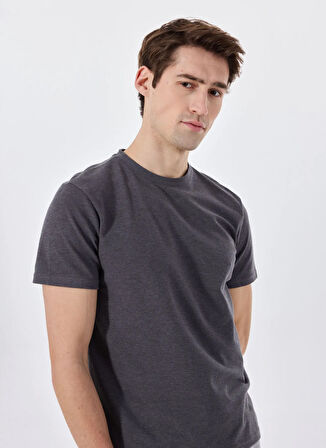 Limon Antrasit Erkek Basic Düz T-Shirt MML5SM-TST 9532