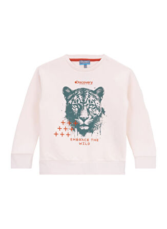 Discovery Expedition Baskılı Erkek Çocuk Krem Sweatshırt D5WB-SWT3040