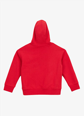 Discovery Expedition Baskılı Erkek Çocuk Kırmızı Sweatshırt D5WB-SWT3064