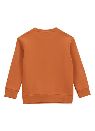 Discovery Expedition Baskılı Erkek Çocuk Kiremit Sweatshırt D5WB-SWT3041
