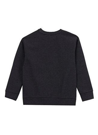 Discovery Expedition Düz Erkek Çocuk Antrasit Sweatshırt D5WB-SWT3102