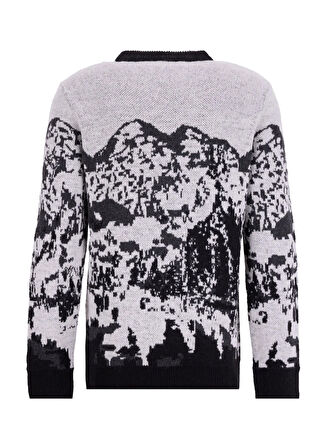 Discovery Expedition D5WM-KZK3790 Siyah - Ekru Bisiklet Yaka Relaxed Desenli Erkek Kazak