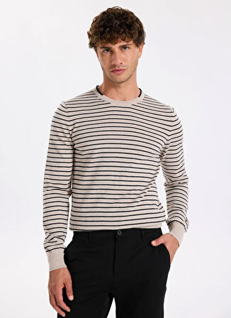 Fabrika Bisiklet Yaka Slim Fit Çizgili Vizon Erkek Kazak F5WM-KZK 2306