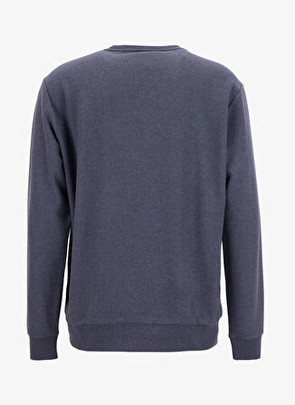 Limon Bisiklet Yaka Düz Örgü Desenli Gri Erkek Sweatshırt MML5WM-SWT9518